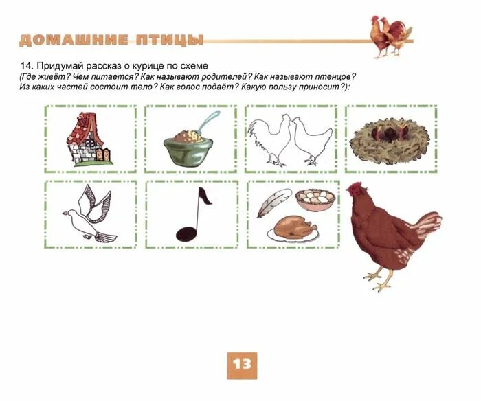 Самостоятельная работа по теме птицы 8 класс. Чем питаются домашние птицы. курица задания для детей. схема описания птиц.