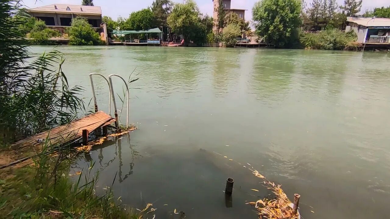 Ташкент земле. Бозсу. Река Бозсу в Ташкенте летом фото. Впадение канала Бозсу в Амурдарью. Впадение канала Бозсу в Амурдарью в Узбекистане.