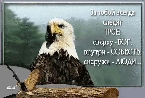 Всегда следить за тем. За тобой всегда следят трое сверху Бог внутри совесть снаружи люди. За тобой всегда следят трое. Сверху Бог внутри совесть снаружи. За тобой всегда следит Бог.