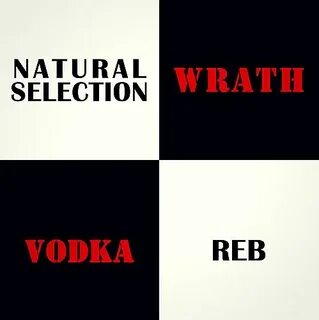 Selection текст