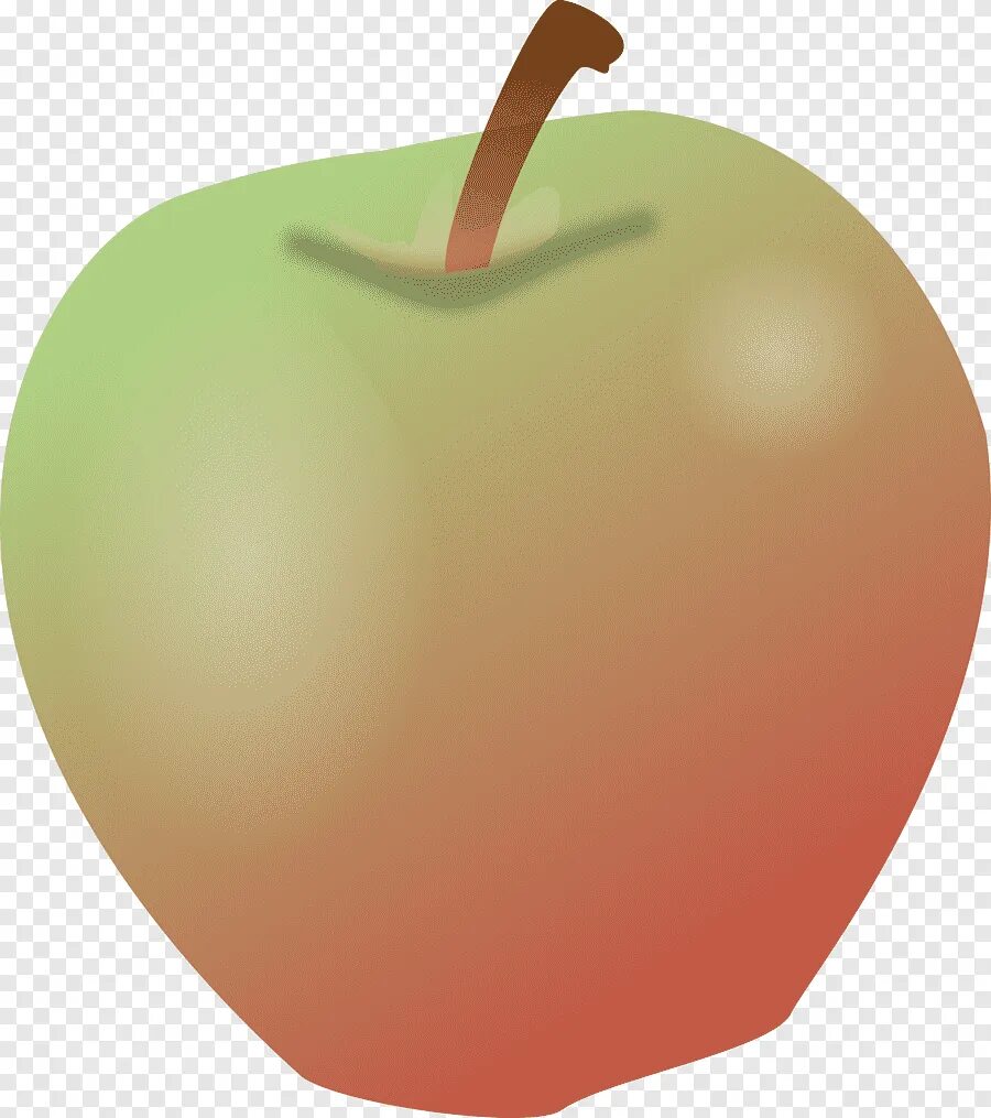 Яблоко нарисованное. Яблоко. Яблоко рисунок. Нарисовать яблоко. Нарисованное яблоко на белом фоне.