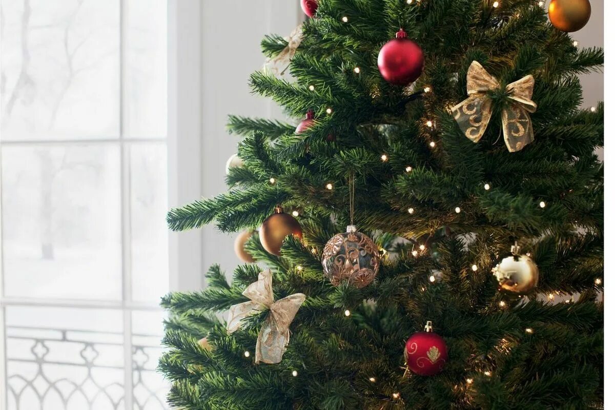 Кот и новогодняя елка. Елка удивляй. Новый год дети. Кошка и новогодняя елка. Елка удивляй.