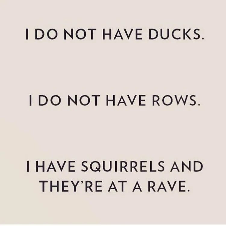 I don t have a type. They are not ducks перевод на русский. что значит they are not ducks. if you have duck hit me. what poisonous has duck-moles.