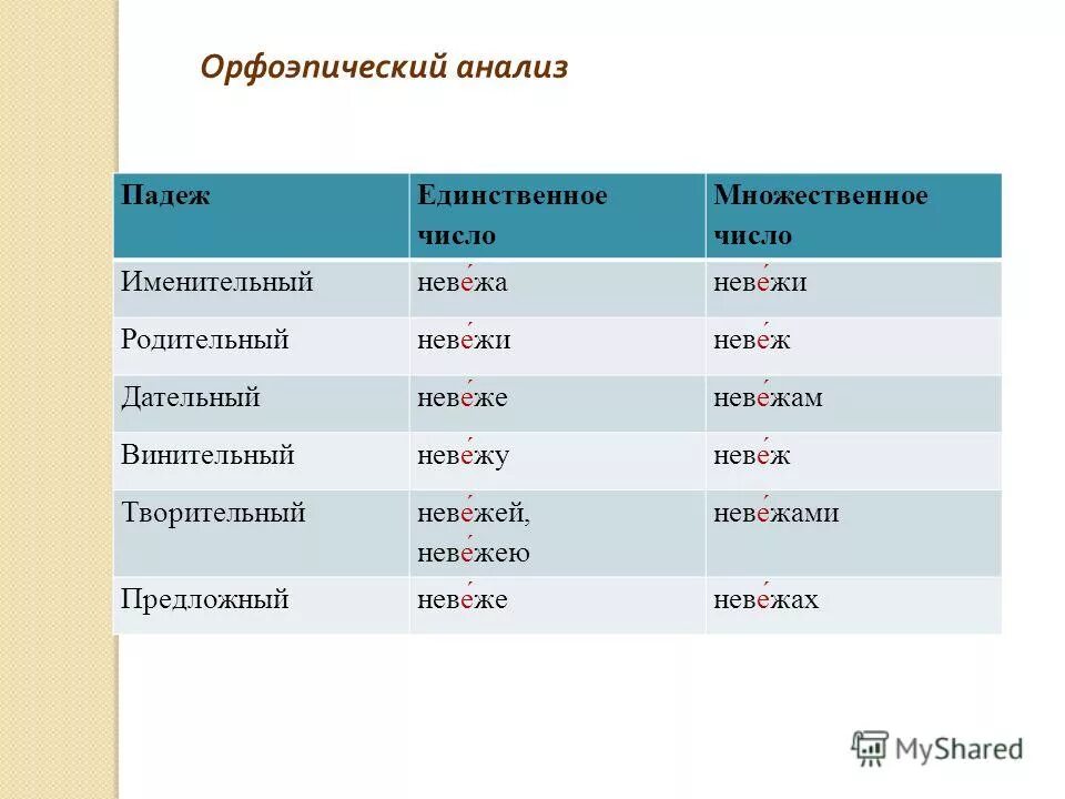 Стоять единственное число. Стоять единственное число
