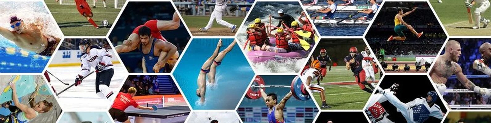 Качества которые развивают командные виды спорта. Постер про разные виды спорта. баннер спортивный разные виды спорта. спорт обложка. обложка на тему спорт.
