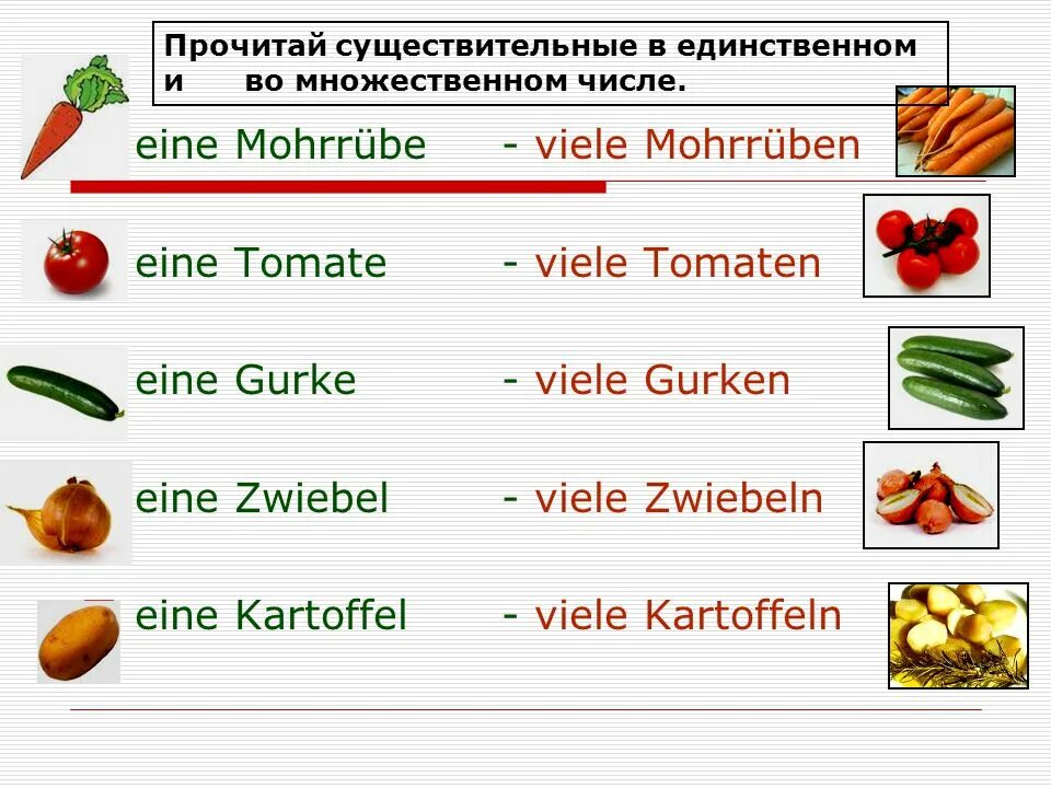 Образование множественного числа существительных в немецком языке. Артикль множественного числа в немецком. Множественное чисмлов немецком. Множественное число в немецком языке. Plant множественное