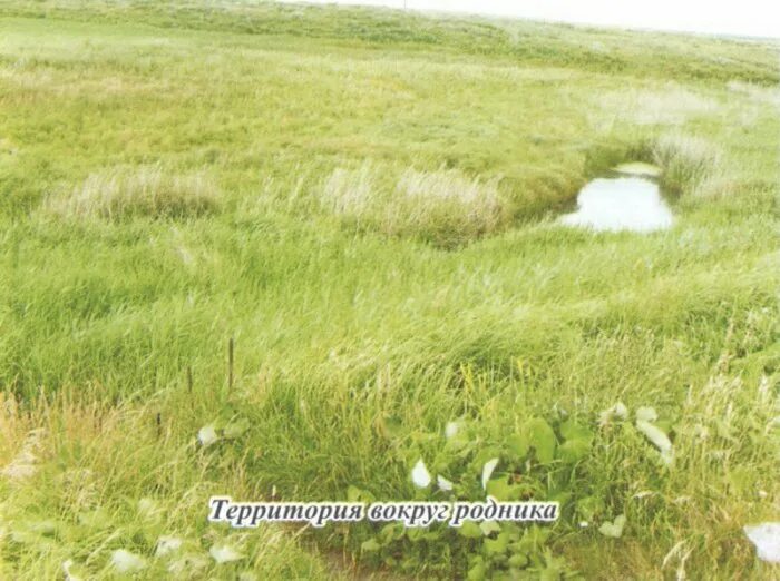 Поселок прудовой саратовская область. Поселок прудовой саратовская область. Речка екатериновка саратовская. Воронцовка саратовская область. П прудовой школа сайт.