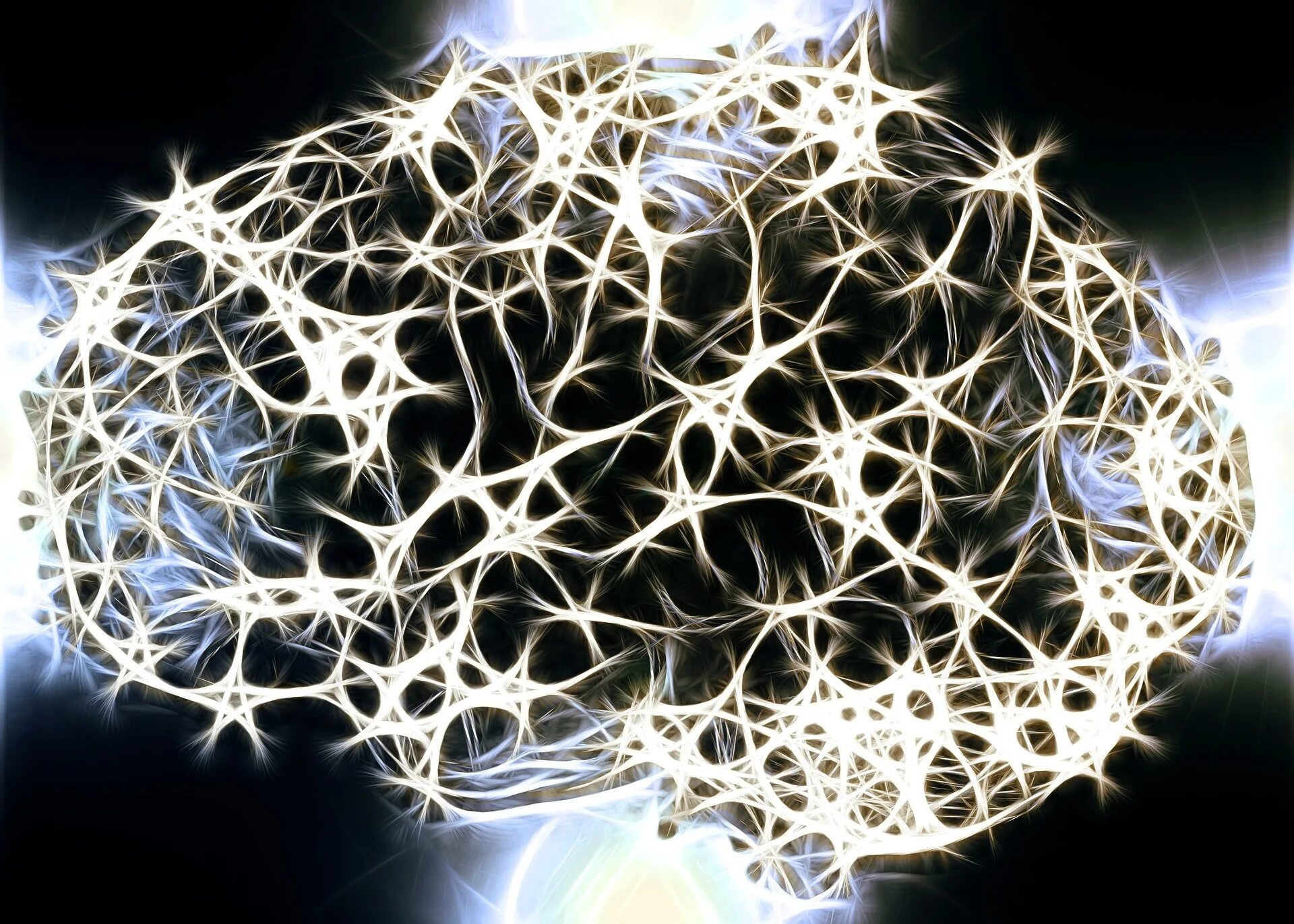 Neural network journal