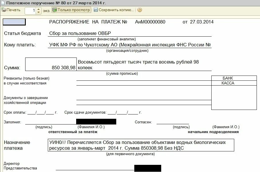 Платежка расходный кассовый ордер. Платежное поручение рко. 3. Оказание транспортных услуг: проводки. Как выглядит платежка за квартиру в москве.