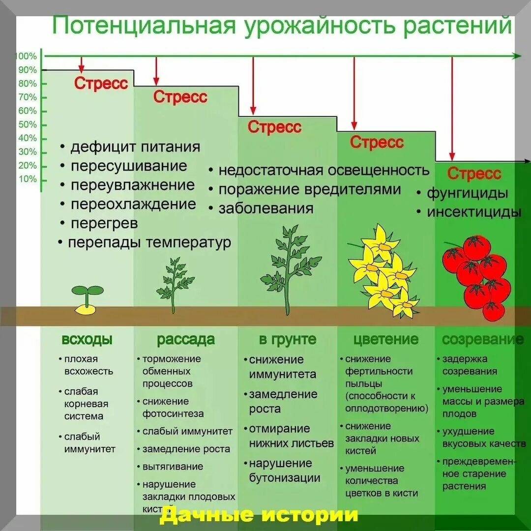 Стрессовые факторы физиология растений. Влияние стресса на растения. Повышение устойчивости растений к стрессовым условиям. Температурный стресс у растений