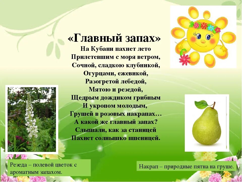 Запах лета стих. Стихотворение на кубани пахнет лето. стихотворение кубань главный запах. запах лета стихи. на кубани пахнет лето прилетевшим.