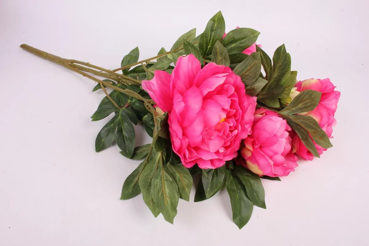 Где купить недорогие искусственные цветы. Адениум Pink Peony. Искусственные цветы. Искусственный свет. Красивые искусственные цветы.