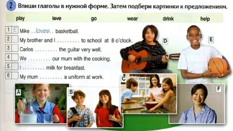 Job my brother