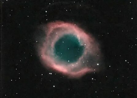 Ngc ооциты