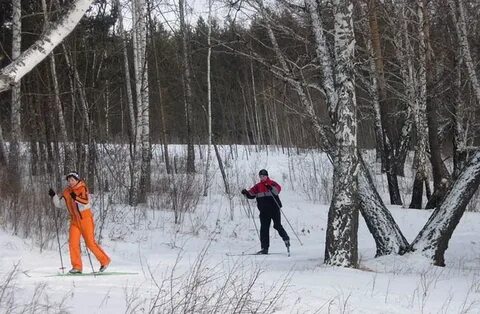 От дома до леса лыжник шел