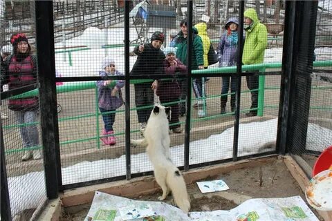 Эко сказы роева ручья