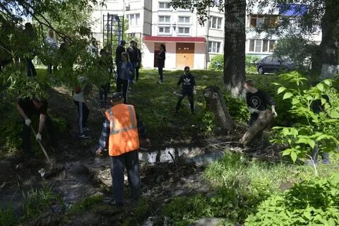 Елец лучок