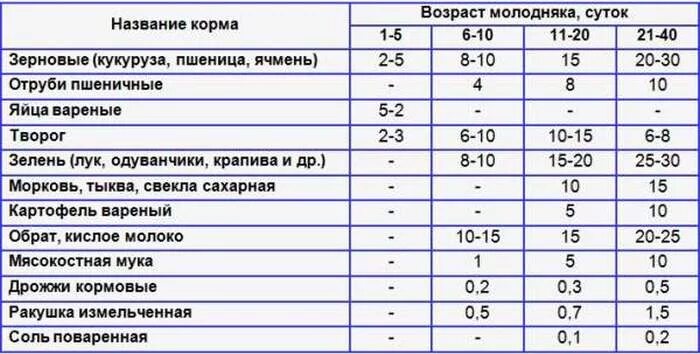 Можно ли кормить индюков