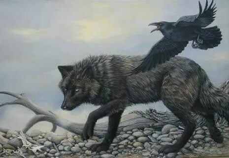 Wolf and raven