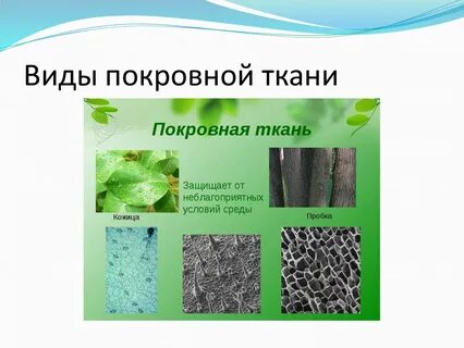 Как отличить ткань от покровной