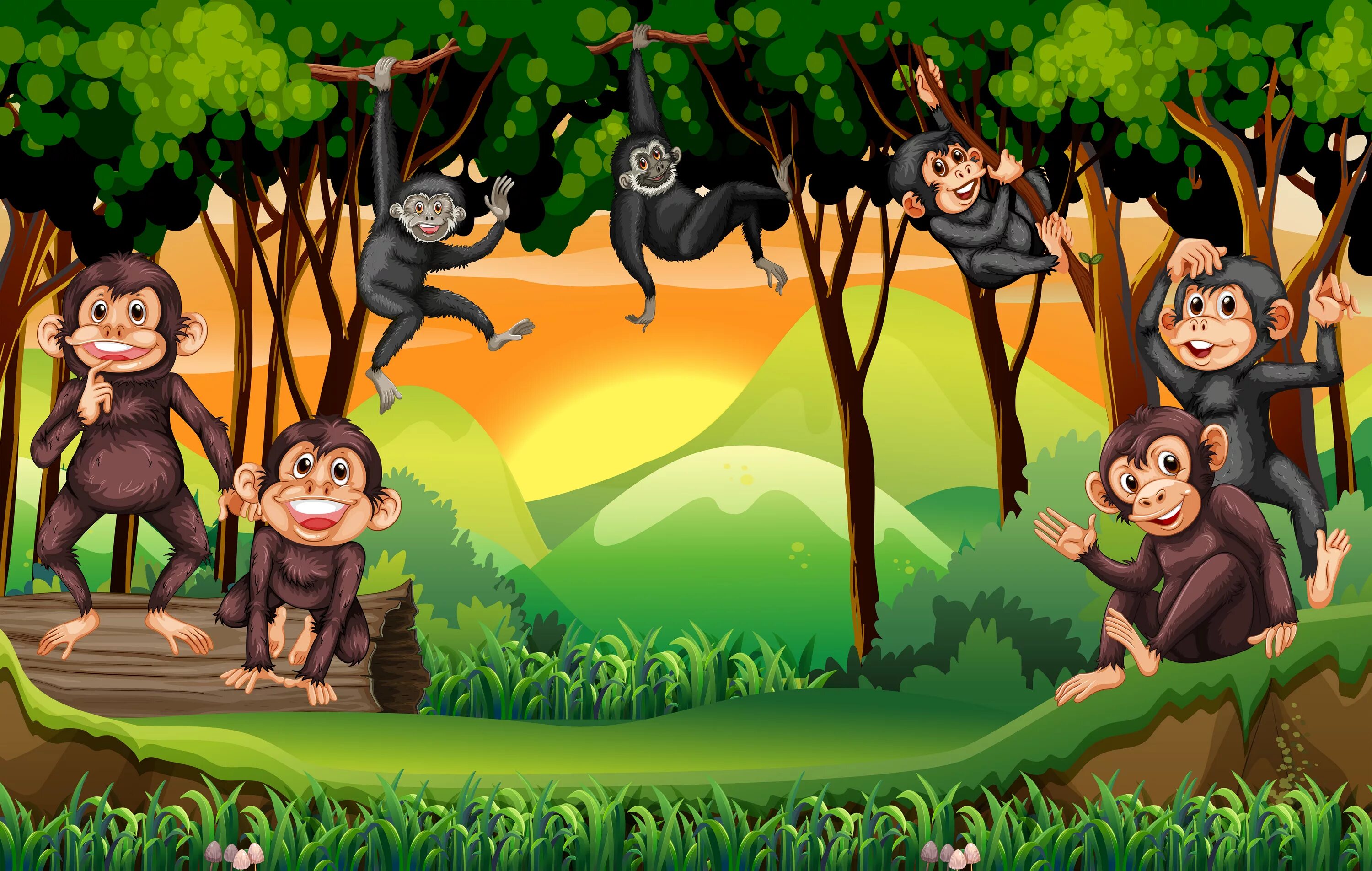 The monkeys always climb trees