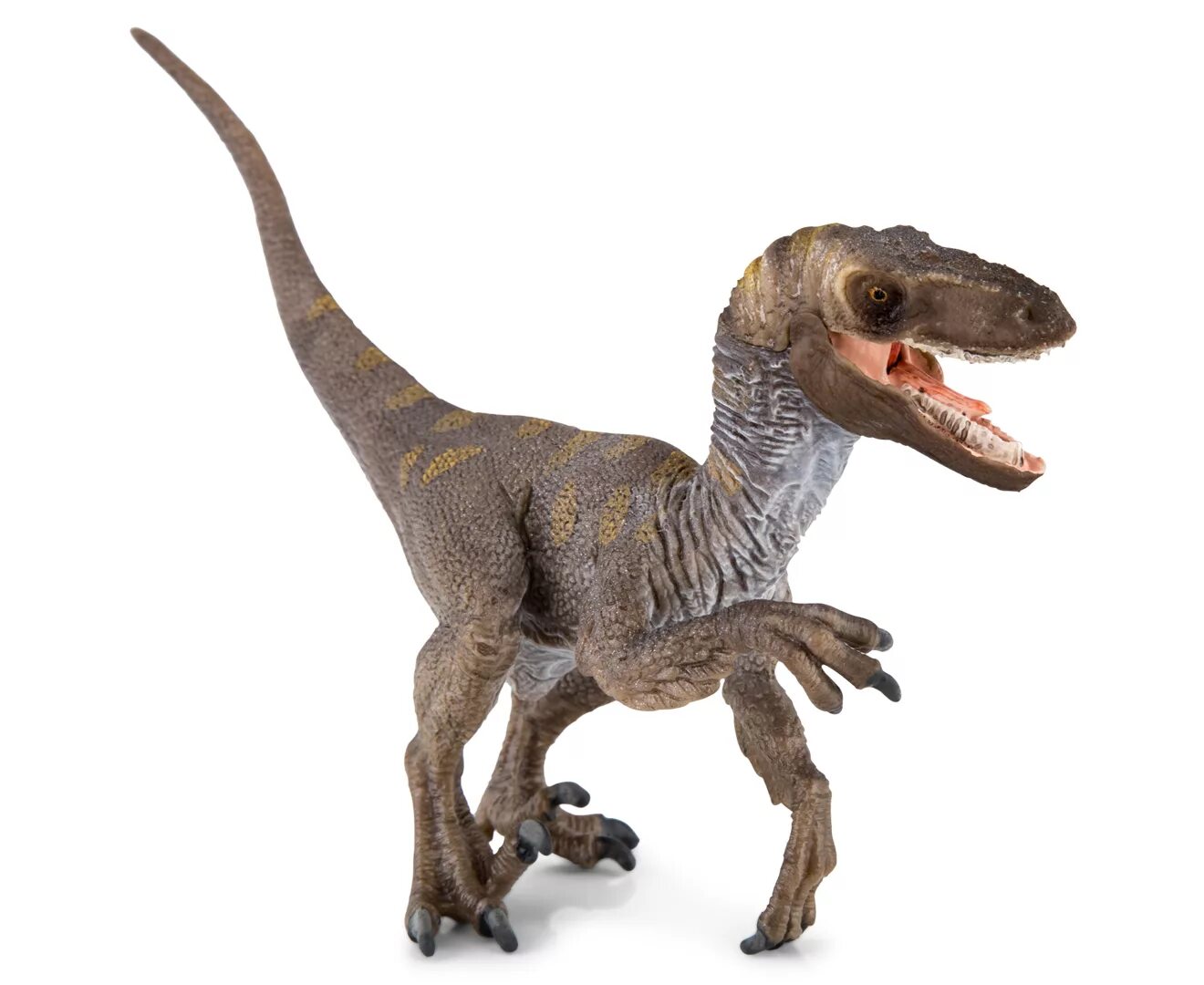 Какой велоцераптор. Велоцираптор schleich. велоцераптор ббс. игрушка велоцираптор ред. робот велоцераптор.