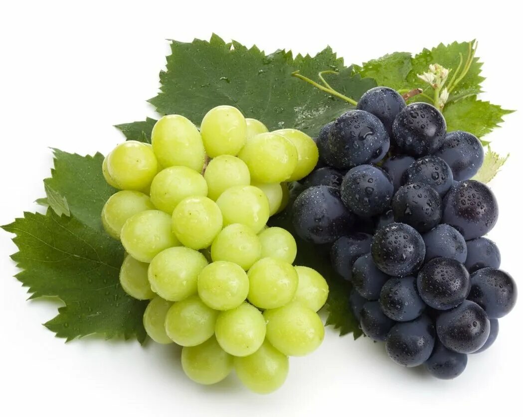 White grape