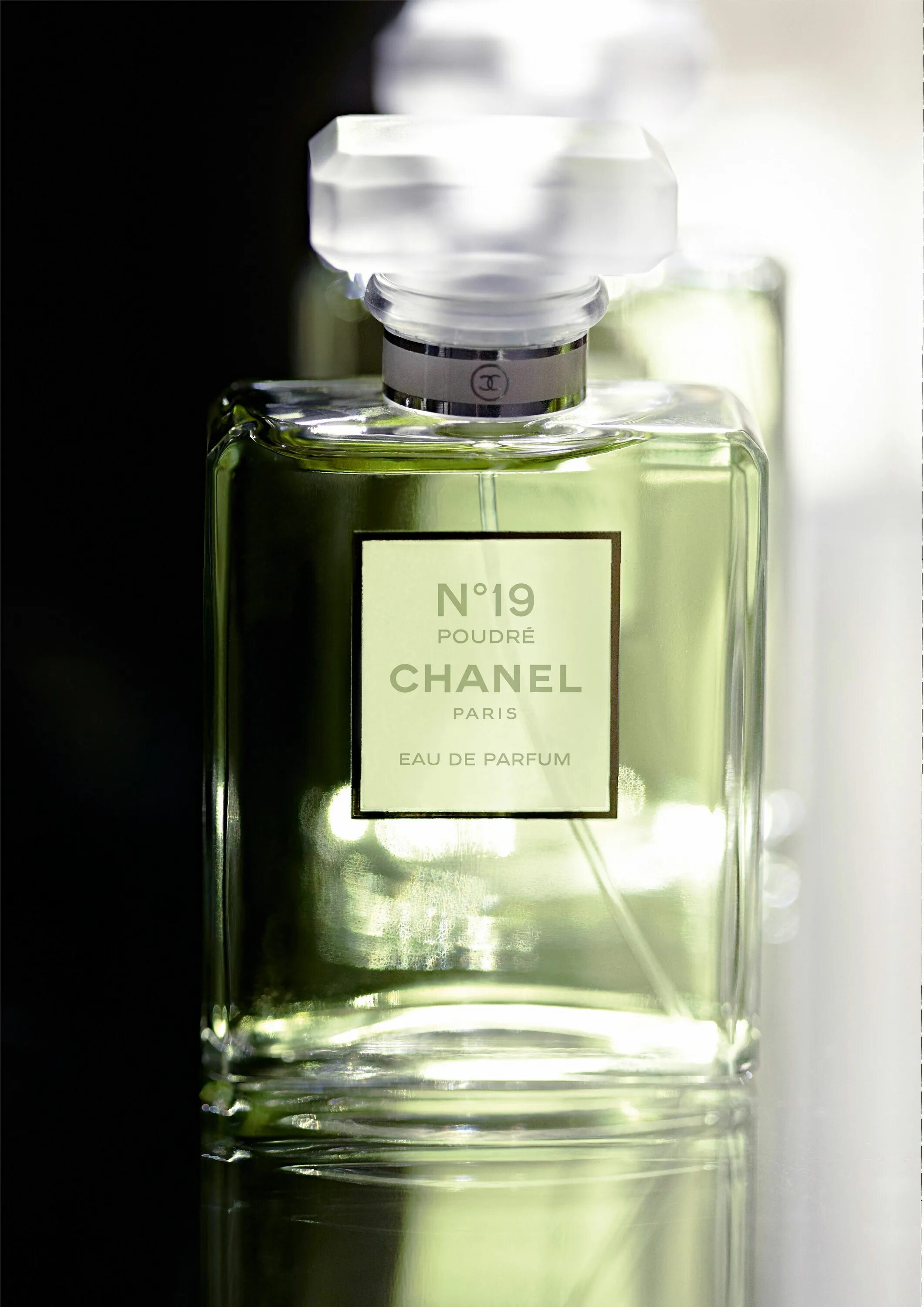 Chanel 19 EDP 100ml. Парфюмерная вода Chanel №19 poudre. Chanel 19 poudre духи. Chanel 19 духи женские.