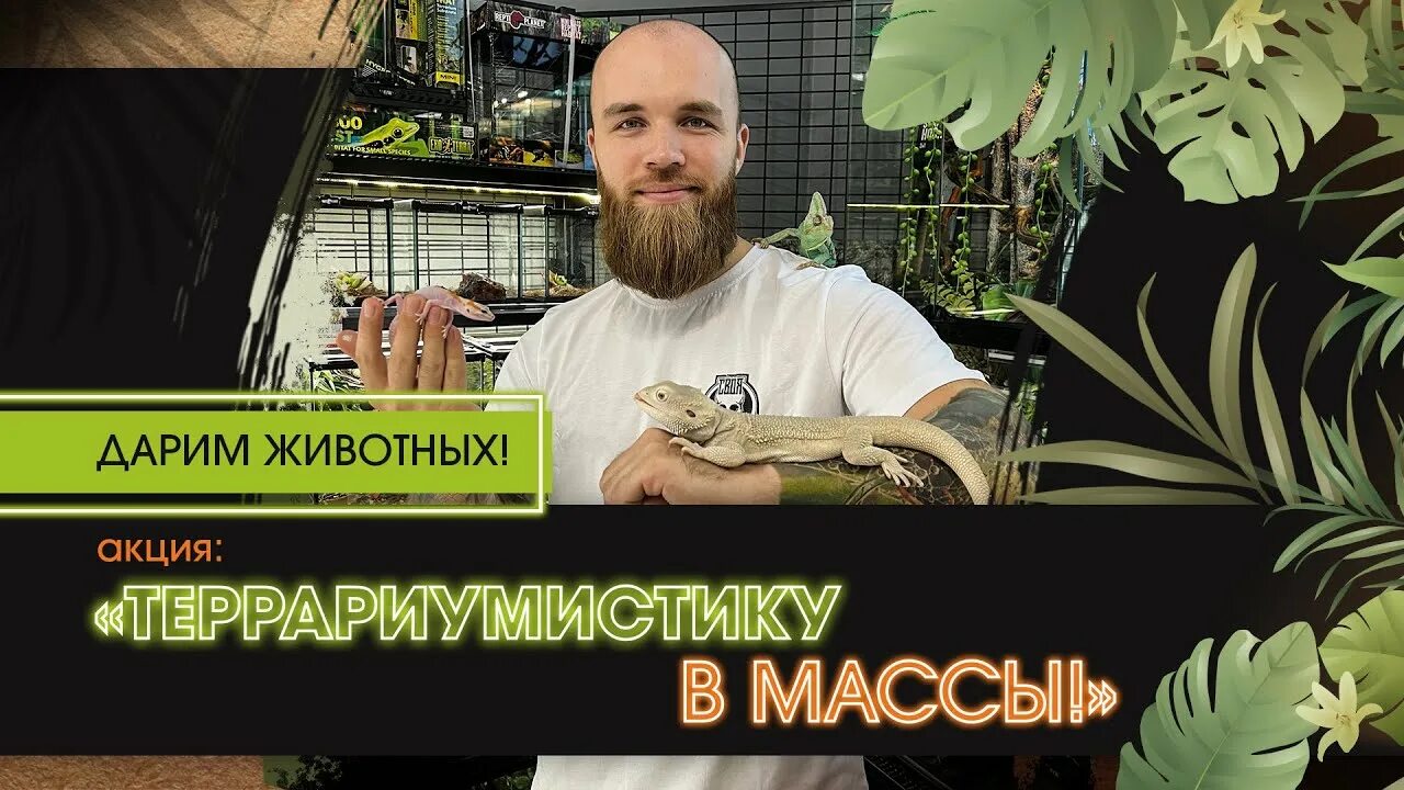 Экзомания зоомагазин в москве. Экзомания зоомагазин в москве. Ekzomania. Ekzomania. Логотип магазина экзотических животных.