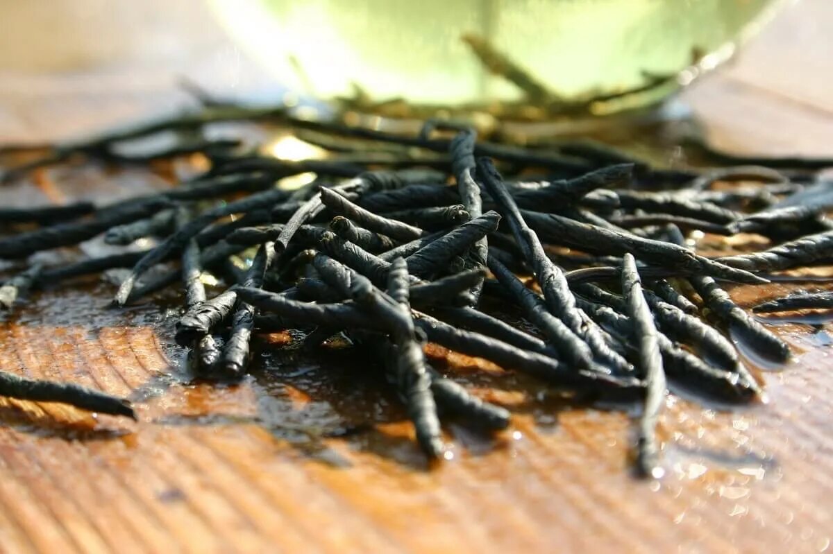 Чай кудин свойства цена. Кудин (горькая трава). Вьетнамский чай Кудин. Дикорастущий Кудин. Чай 1725 Кудин.