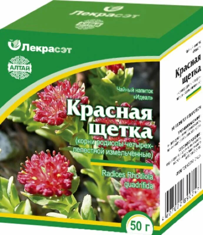 Красная щетка Лекра сэт. Родиола красная щетка. Родиола четырехчленная красная щетка растение. Радиола четырёхчленная красная щётка. Красная щетка купить в аптеке