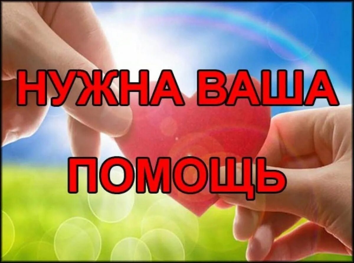 Желать помощь. Нужна помощь. нужна ваша помощь. помогите картинка. просьба о помощи.