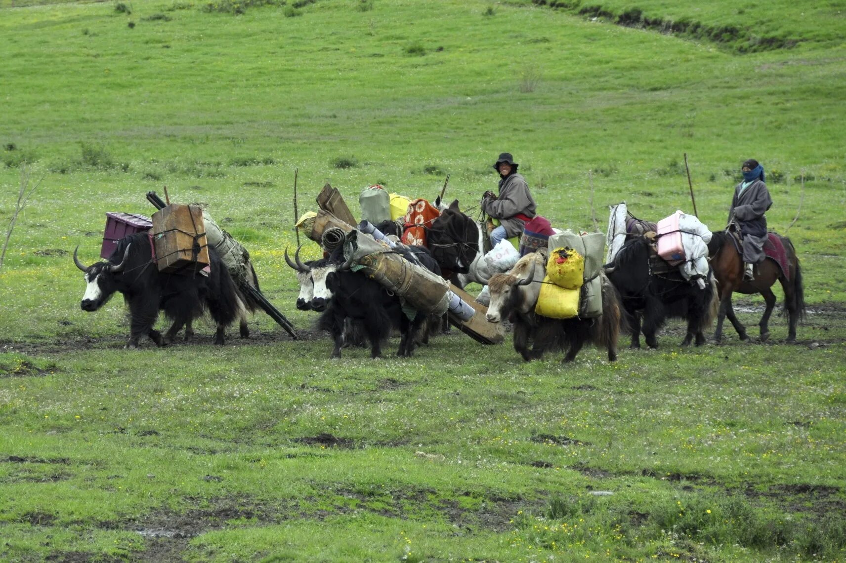 Номад лайф. Номад Кочевник. Nomads specta кочевники. Кто такой Номад. Nomadic Life.