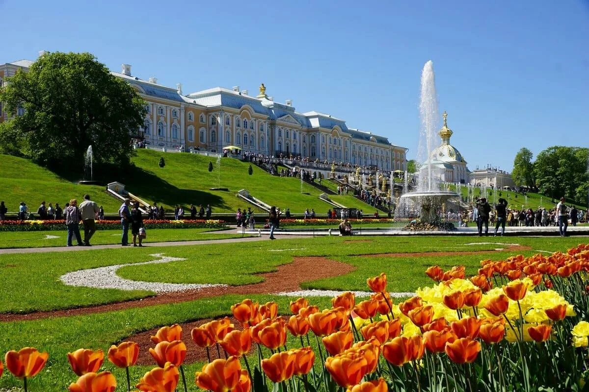 Фото 05. Санкт-Петербург майские праздники Петергоф. Петергоф в Санкт-Петербурге весной. Петергоф Нижний парк май. Петергоф в Санкт-Петербурге в мае.