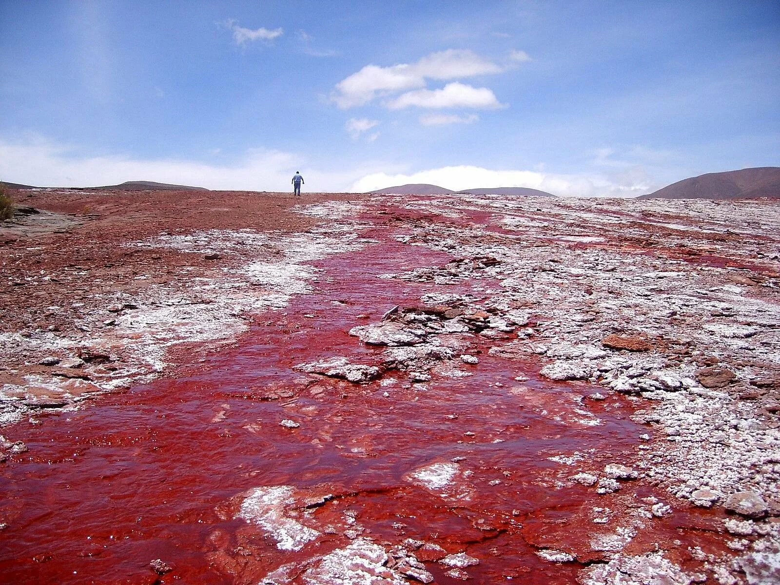 Озеро дьявола Чили. Красная Лагуна в Чили. Кроваво-красное озеро Лагуна-Колорадо. Кровавое озеро Чили.