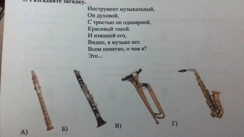 Общее название для язычковых пневматических музыкальных инструментов