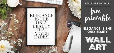Beauty begins