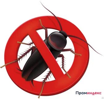 Против тараканов