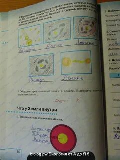 Жизнь на земле 6 класс естествознание