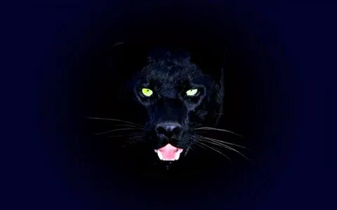 Black jaguar wallpaper iphone