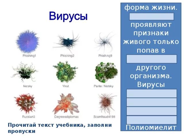 Какие признаки живого способны проявлять вирусы?. Вирусы проявляют признаки жизни. Признаки проявления вирусов. Вирусы проявляют признаки жизни. Признаки проявления вирусов.