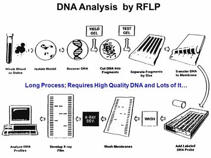 Required process