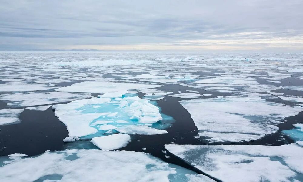 2 северный ледовитый океан. Северный полюс Северный Ледовитый океан. Арктика Северный Ледовитый океан. Средняя глубина Северного Ледовитого океана. Северный Ледовитый океан площадь льдов Арктики.