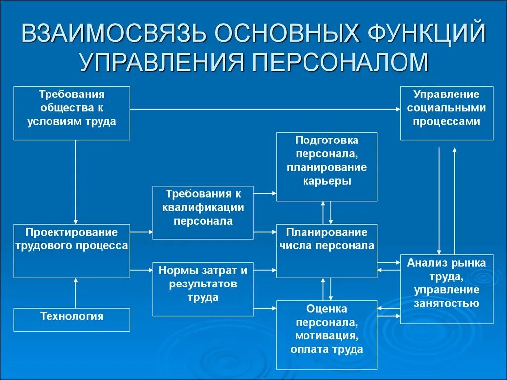 Управление социальное управление соотношение. Взаимосвязь функций управления персоналом. Взаимосвязь общих функций управления. Взаимосвязь общих функций менеджмента. Взаимосвязь основных функций менеджмента.