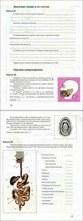 Биология 9 класс маш читать