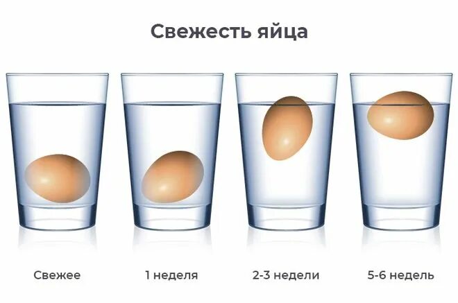 Свежесть яиц. Как проверить яйца на свежесть. Свежесть яиц в воде. Степень свежести яиц.