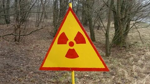 Radiation environment