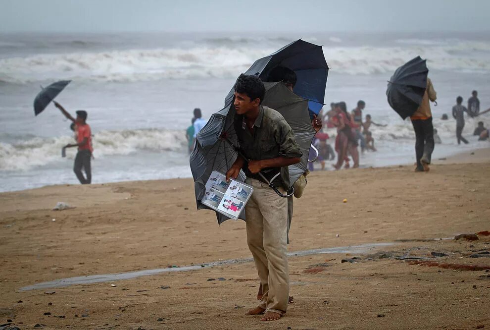 дождь и ветер. дождь. ливень. ливень. зато дожди идут.