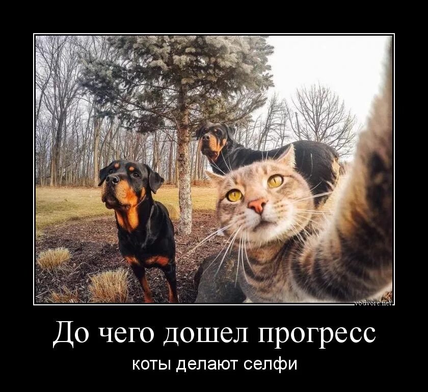 До чего дошел прогресс большой