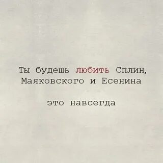 Мы так похожи
